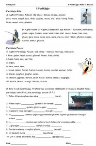 Il-Participju Revizjoni 1