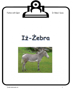 Iz-Zebra